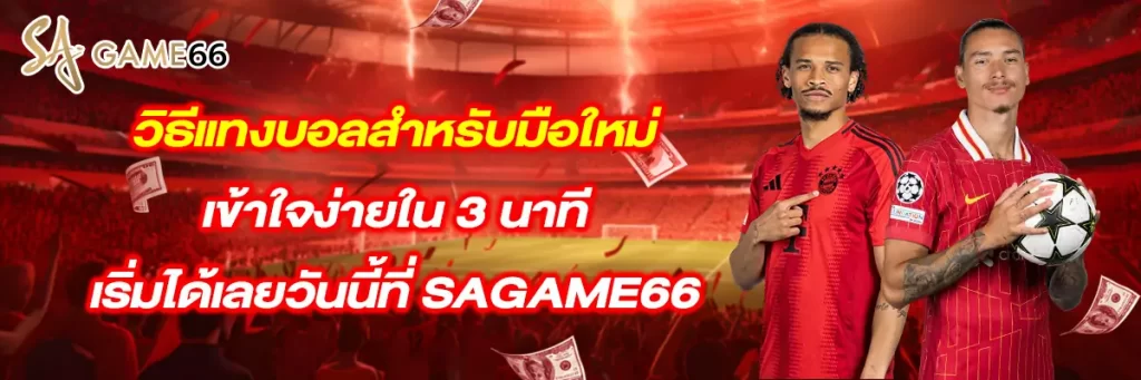 วิธี แทงบอล